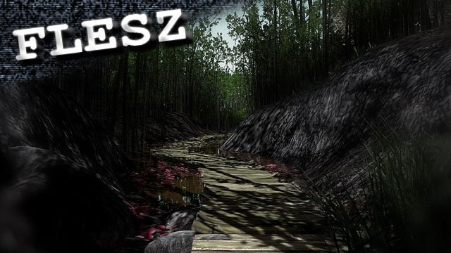 FLESZ - 24 sierpnia 2012