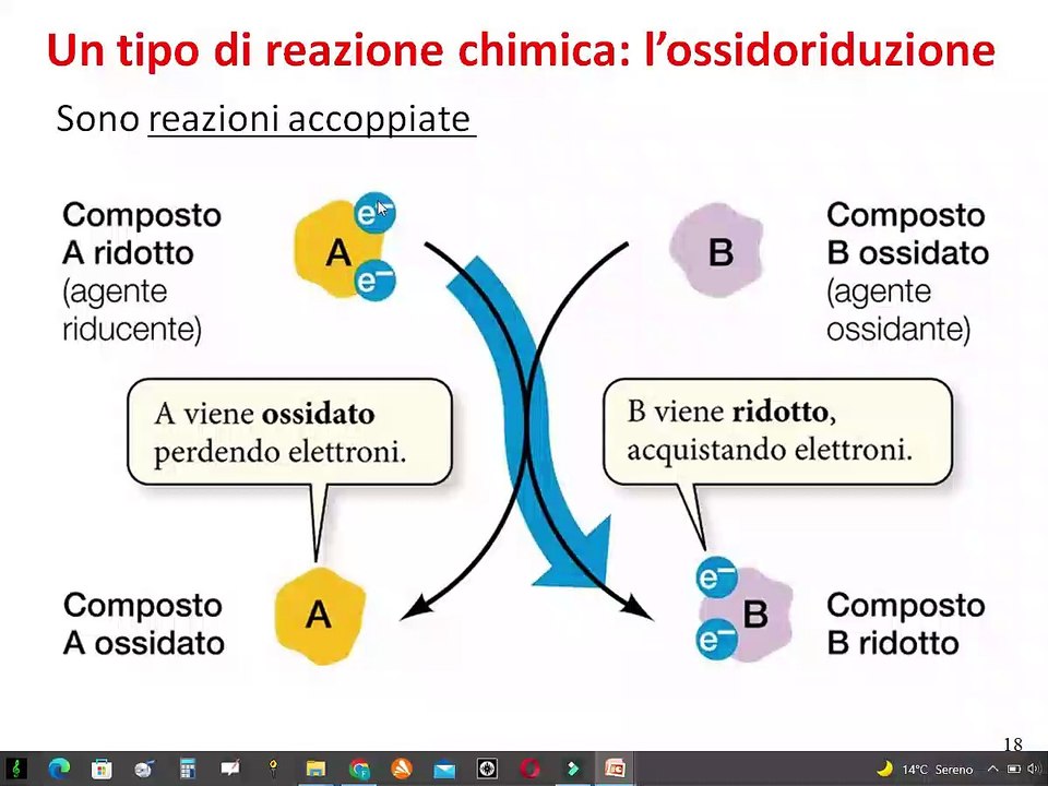 2-Redox e vie metaboliche