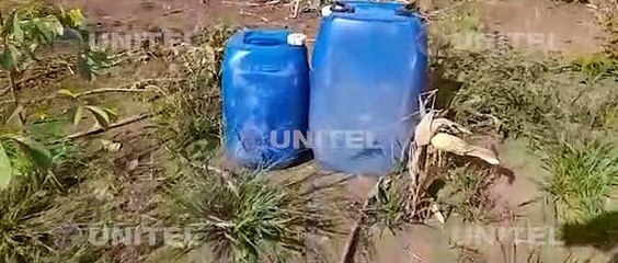 Hallan sustancias controladas y avionetas en una pista clandestina intervenida