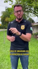 Não tem graça! Cachorro é flagrado sendo transportado em garupa de moto em Umuarama- Paraná.Esse tipo de transporte é errado, pois o animal pode vir a cair com o movimento da moto, do vento, barulho, chuva e mesm
