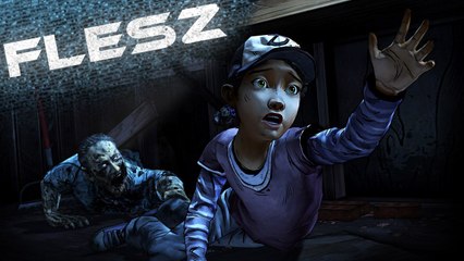 FLESZ - 13 grudnia 2013