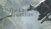 Gra nad przepaścią - jak The Last Guardian wróciło do życia?