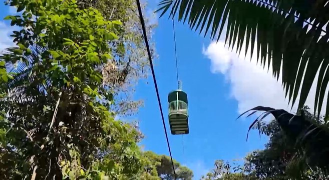 mqn- Visitamos el primer teleférico del mundo construido dentro de un bosque-130422