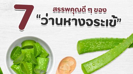 ว่านหางจระเข้ กับ 7 สรรพคุณดี ๆ ต่อผิวหน้า