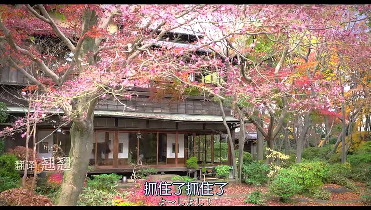 日劇-浮世畫家SP - part1
