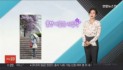 [날씨톡톡] "비온 뒤 물향 머금은 라일락"…내일 다시 온화한 봄
