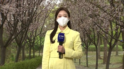 [날씨] 오늘은 서늘, 내일은 포근...동해안·제주도 '너울' 조심 / YTN