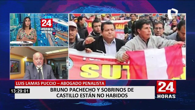 Lamas Puccio sobre sobrino de Pdte. Castillo: “Es el tema más trascendente en este momento”