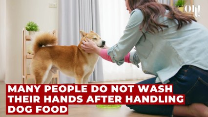 This common hygiene mistake could be harmful to you and your dog