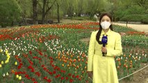 [날씨] 전국 흐리고 서늘, 서울 16℃...동해안·제주도 '너울' 주의 / YTN