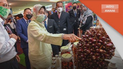 Komoditi | Amerika dan EU berpatah balik guna minyak sawit