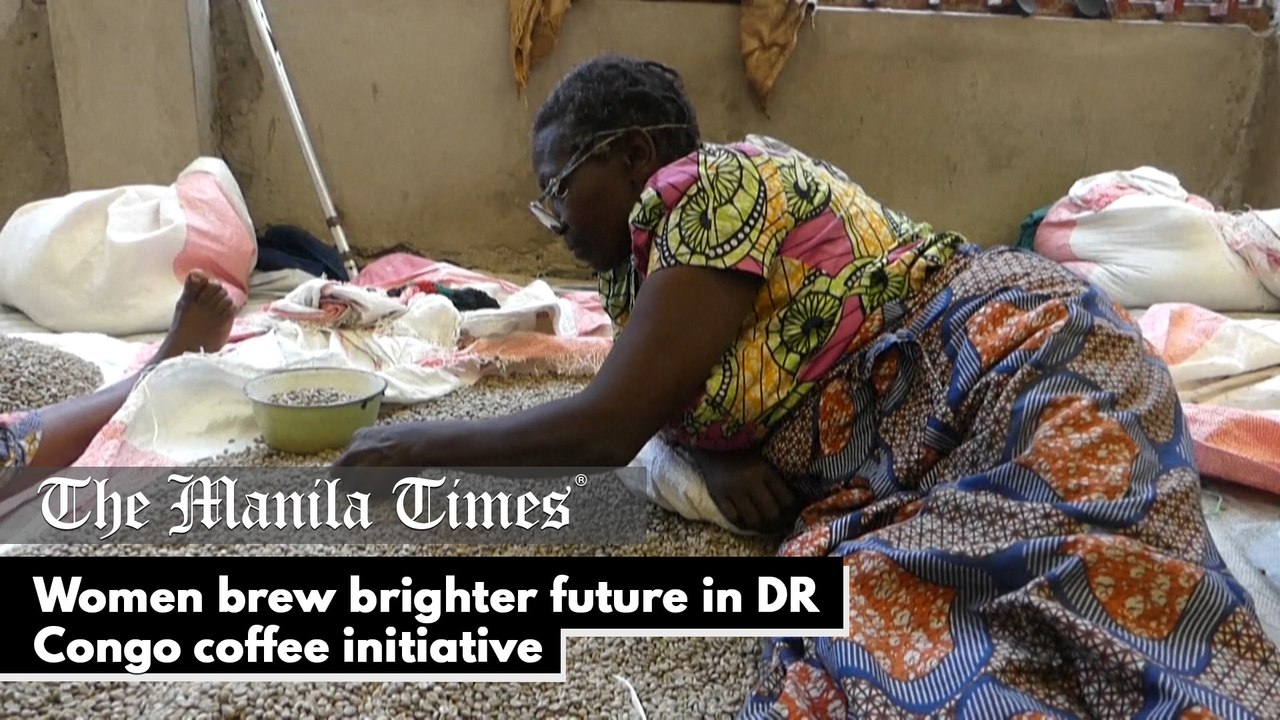 Women brew brighter future in DR Congo coffee initiative