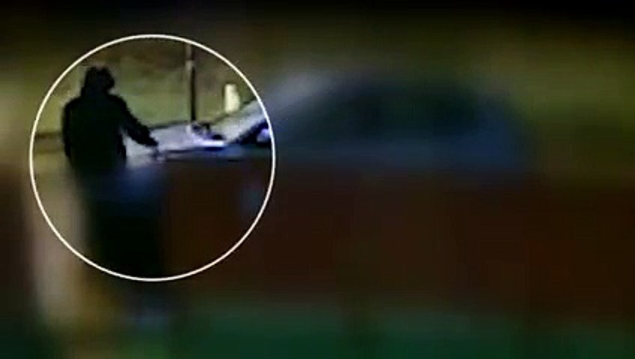 Police are investigating criminal damage in Northland and Oakwood Road, Carrickfergus