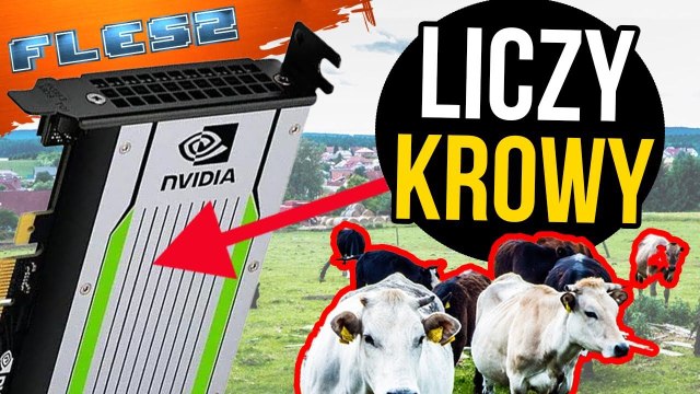 Najdziwniejsze zastosowanie karty graficznej. FLESZ – 10 sierpnia 2021