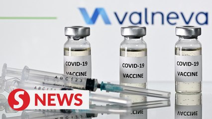 Britain approves Valneva's easy-to-store Covid-19 shot