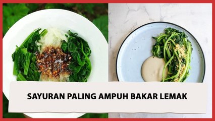 Ingin Bakar Lemak?  Konsumsi Empat Jenis Sayuran Ini Pas Buka Puasa dan Sahur!