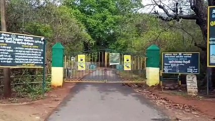 பெரியகுளம், கும்பக்கரை அருவியில் வெள்ள பெருக்கு  சுற்றுலாப் பயணிகள் குளிக்க தடை வனத்துறை அருவிப்பு