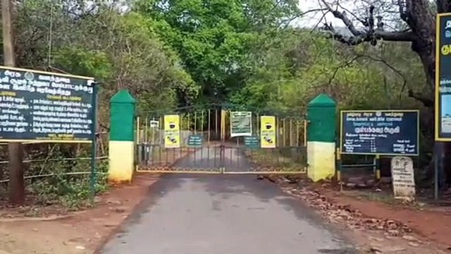 பெரியகுளம், கும்பக்கரை அருவியில் வெள்ள பெருக்கு சுற்றுலாப் பயணிகள் குளிக்க தடை வனத்துறை அருவிப்பு