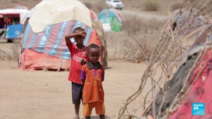 Drought in Africa: 20 million people facing starvation in Horn of Africa