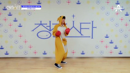 +아이돌파 로빈+ 호주에서 뛰어온 아기 캥거루 | 청춘스타 5/19(목) 첫방송