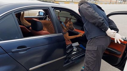 Araçtaki uyuşturucu narkotik köpeği "Kaput"dan kaçmadı