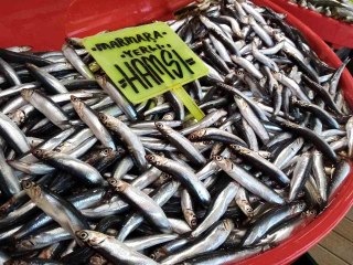 Sezonun son balıkları tezgahlarda