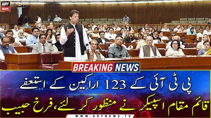 PTI members en-masse resignations accepted: Farrukh Habib