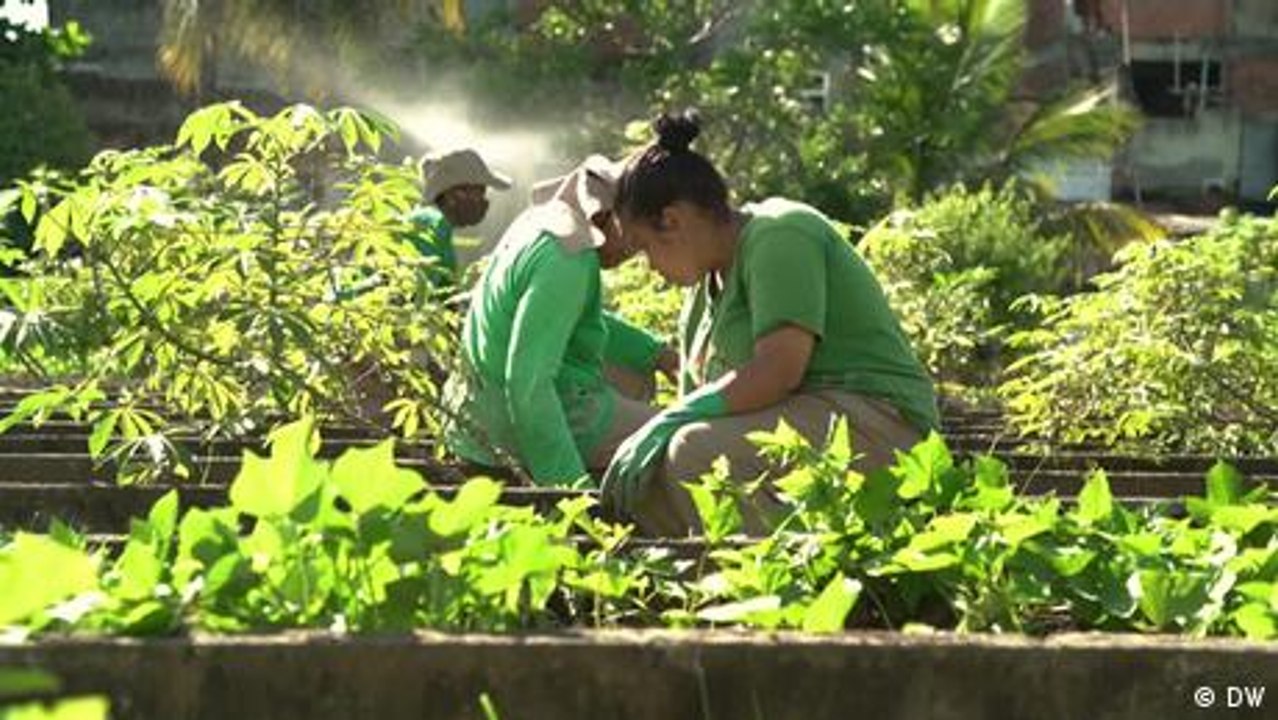 Gardening for a better life