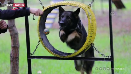 Emniyetin "hassas burunları" her birimde görev alıyor