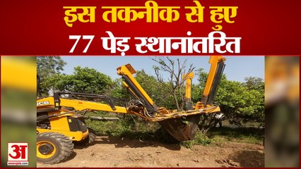 नई तकनीक से 77 पेड़ों को दूसरी जगह कराया स्थानांतरित, देखें वीडियो