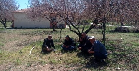 Malatya'da kayısı bahçelerini don vurdu