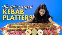 3 ft. LONG KEBAB PLATTER| India’s Biggest Platter | Food Challenge