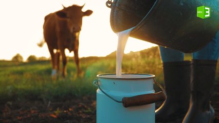 ذكر اللبن في القرآن الكريم