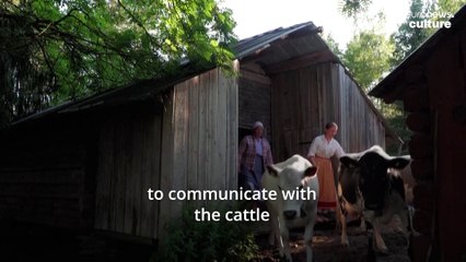 'Kulning': How an ancient Scandinavian cow herding call has become an art form
