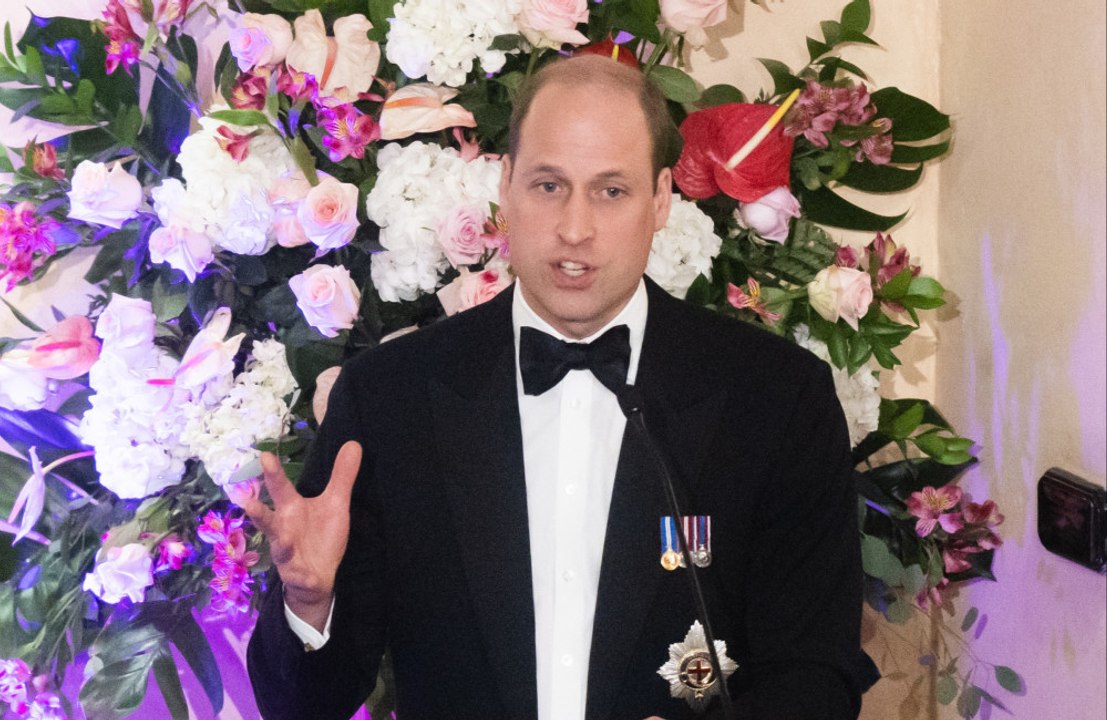 Prince William is really optimistic that we can tackle global warming