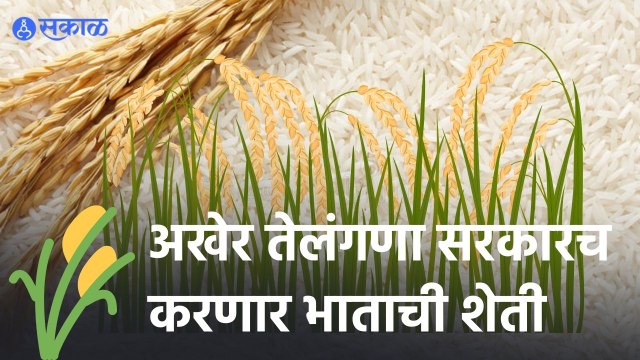 केंद्राच्या नकारानंतर Paddy शेवटी Telangana Government खरेदी करणार | Paddy Procurement