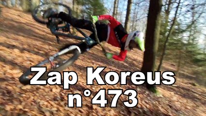 Zap Koreus n°473