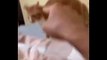Funniest Cats - OMG!  Please Help I'm Dying Watching These Funniest Cats-Johnny Catsville