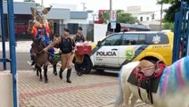 Montado a cavalo, Coelhinho da Páscoa é levado até Cmei durante ação social da Cavalaria da PM