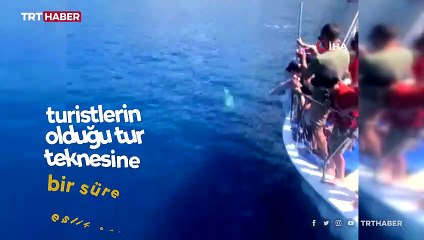 Yunus tur teknesine eşlik etti