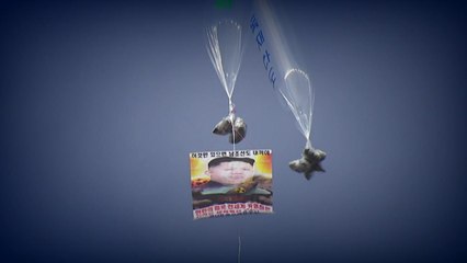 대북전단 금지법 다시 손보나...권영세 "헌법적 관점에서 문제" / YTN