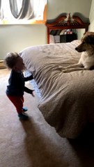 Toddler and Pup 'Argue' Over Bed Spread