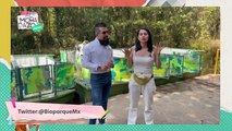 ¡De paseo en el Bioparque Estrella! - Almohadazo Casero
