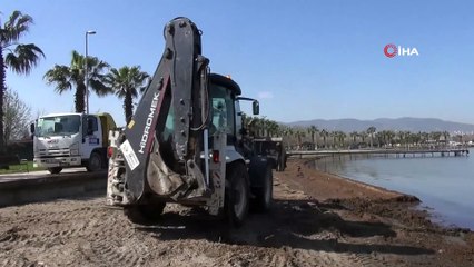 Deniz kenarını ahıra çevirdiler! Sahili hayvan dışkısı kapladı