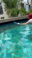 Woman Successfully Relocates Snake from Pool