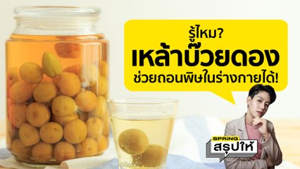 เหล้าบ๊วยดอง Umechu จากญี่ปุ่น มีสรรพคุณช่วยถอนพิษในร่างกายได้! l SPRiNGสรุปให้