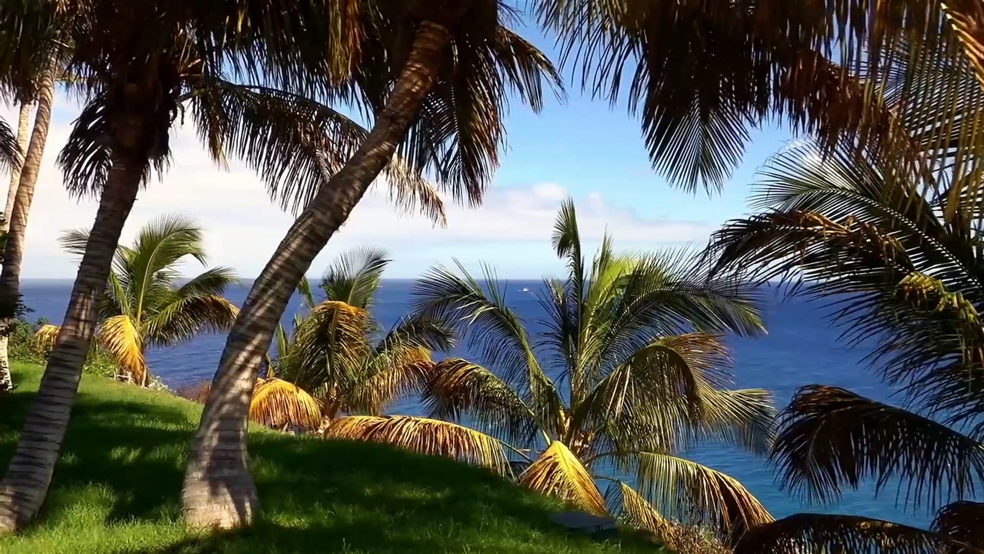 Relaxing Sleep Music | Deep Sleeping Music | Relaxing Music | Meditation Music