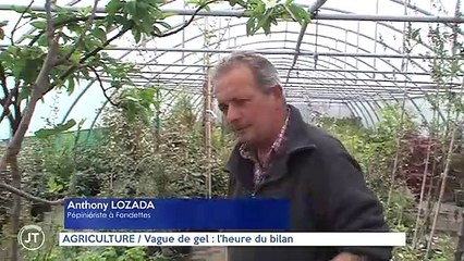 AGRICULTURE Vague de gel : l'heure du bilan