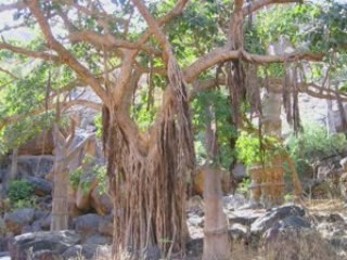 Pays Dogon, Pays SonghoÏ