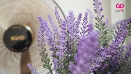 Mind 16inch Aroma Stand Fan Set - Black [New] - MLY